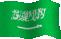 sa-flag1-ss[1].gif